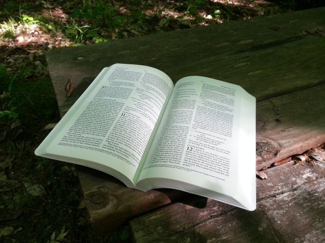 The Waterproof Bible is great for outdoor use, and is virtually indestructible.