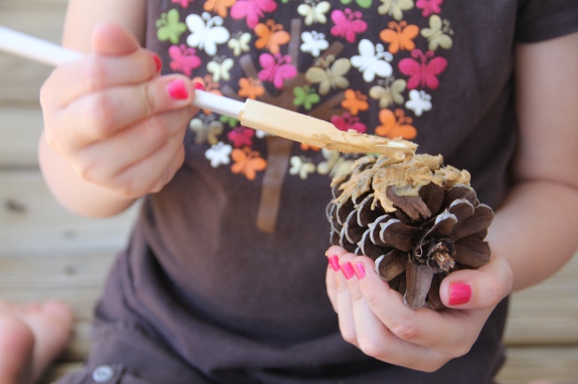 Step 1: Coat the pinecone with peanut butter.