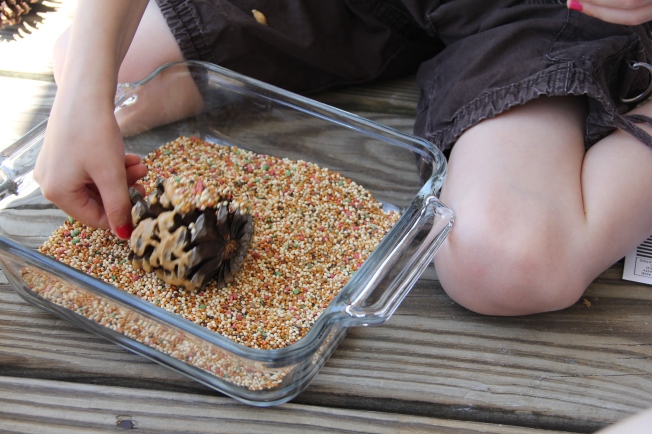 Step 2: Roll the pinecone in a pan of birdseed until the pinecone is completely covered.