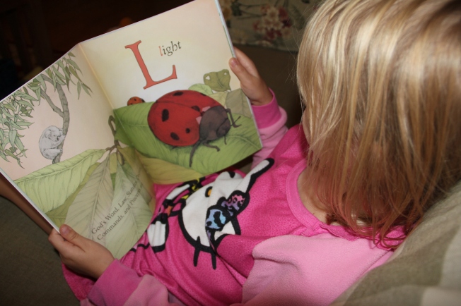 L for Light with a Ladybug (and a Koala from the previous spread)